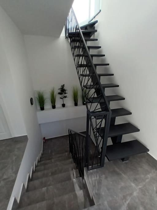 Old Town Studio 1 Apartment Nr 1 Бая-Маре Экстерьер фото