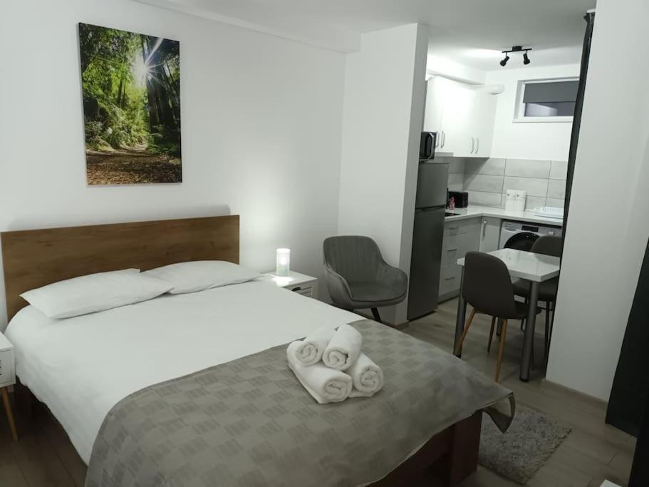 Old Town Studio 1 Apartment Nr 1 Бая-Маре Экстерьер фото