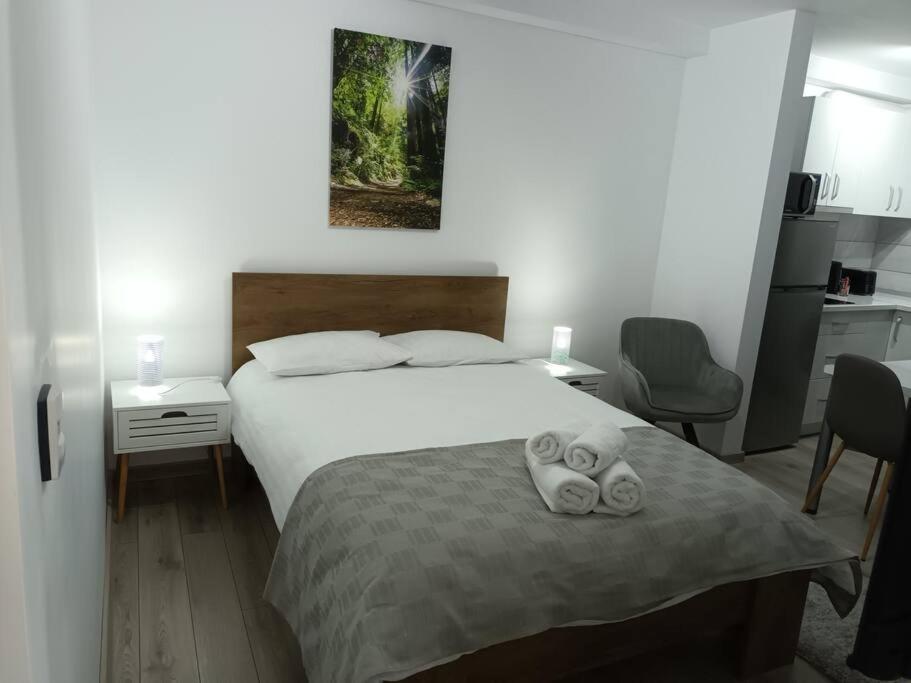 Old Town Studio 1 Apartment Nr 1 Бая-Маре Экстерьер фото