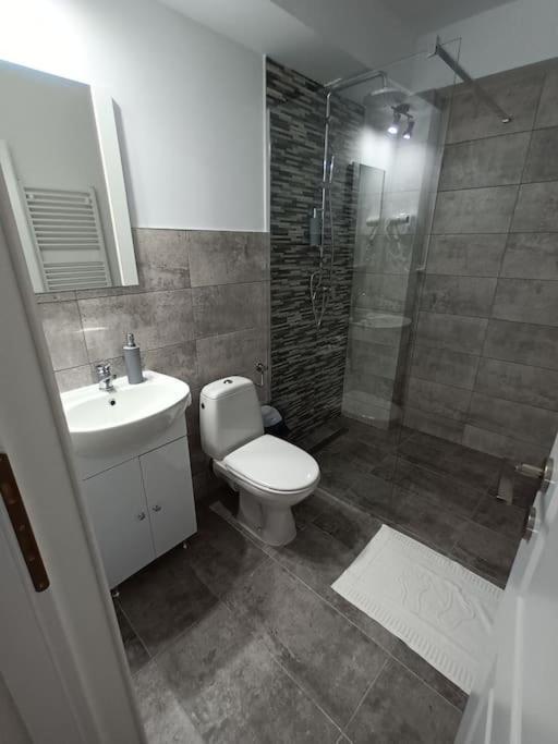 Old Town Studio 1 Apartment Nr 1 Бая-Маре Экстерьер фото