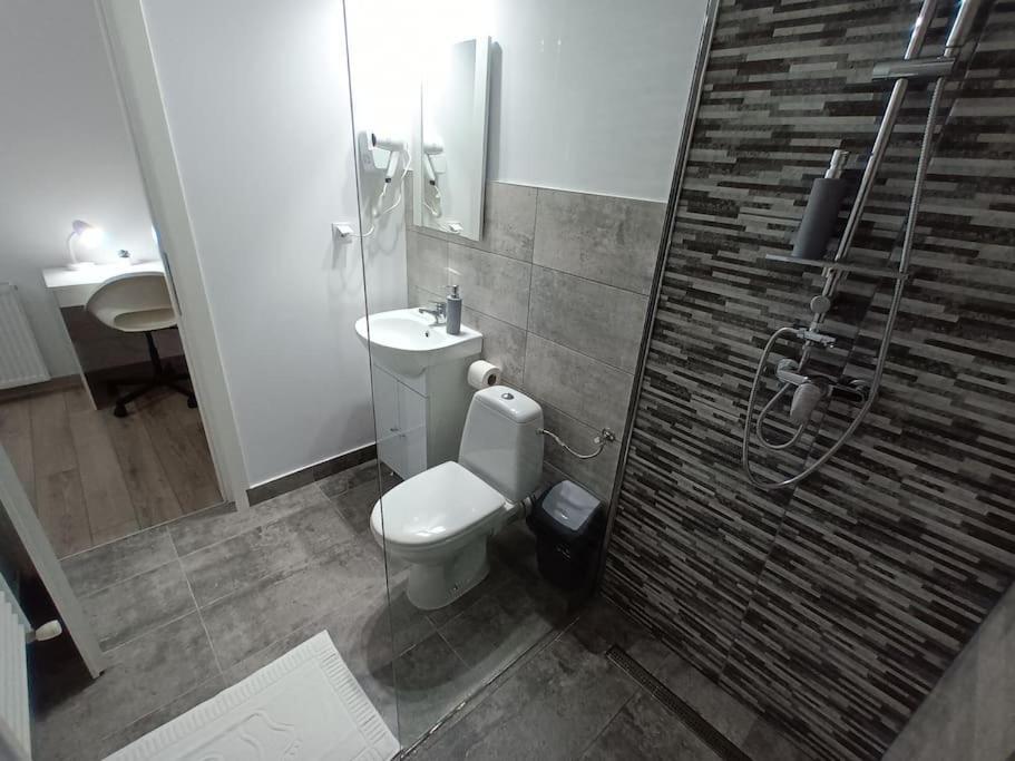 Old Town Studio 1 Apartment Nr 1 Бая-Маре Экстерьер фото